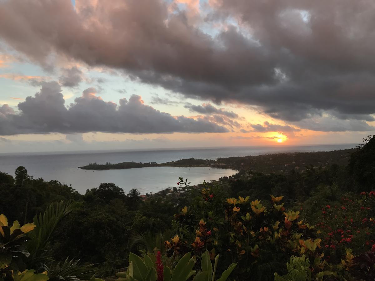 Treetops Villa Port Antonio Exteriör bild
