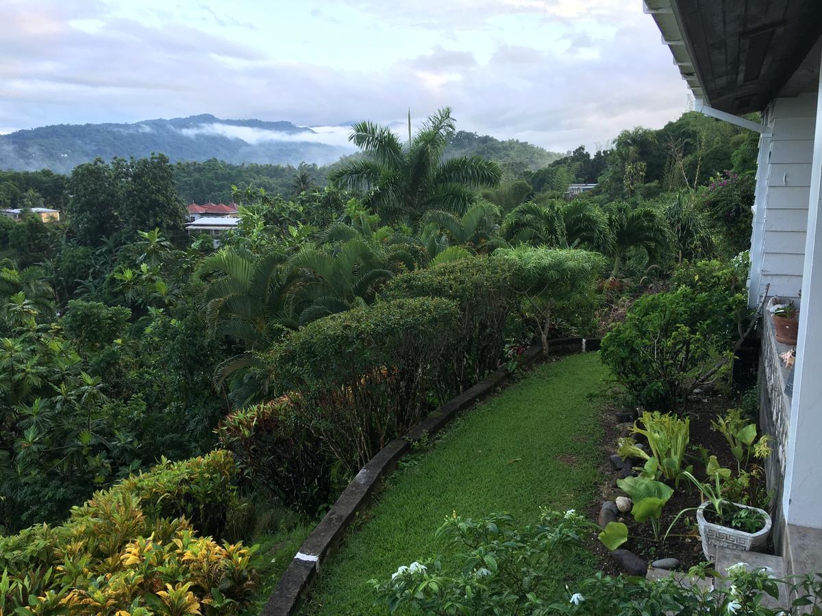Treetops Villa Port Antonio Exteriör bild