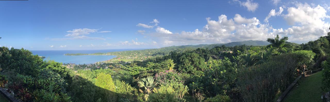 Treetops Villa Port Antonio Exteriör bild